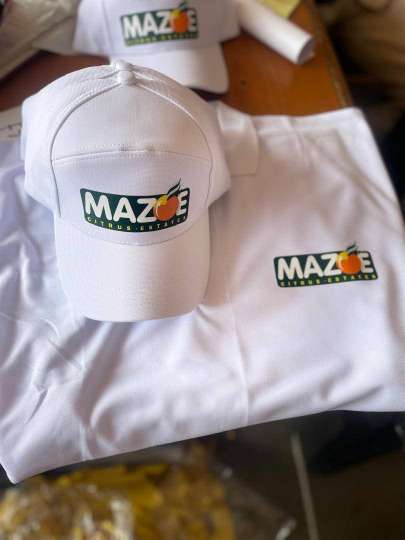 Corporate Branding Project